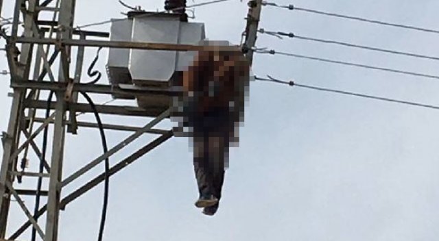 Çıktığı elektrik direğinde akıma kapılıp öldü