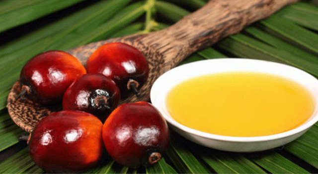 Nutella artık satılmayacak (Nutella neden satılmıyor) - PALM YAĞI NEDİR? Nutella artık satılmayacak (Nutella neden satılmıyor) - PALM YAĞI NEDİR?