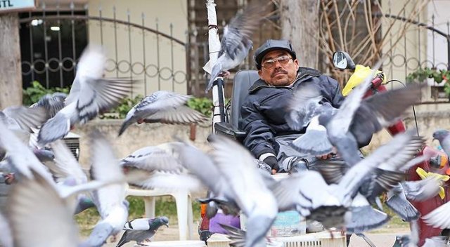 Özenle beslediği güvercinler ekmek kapısı oldu