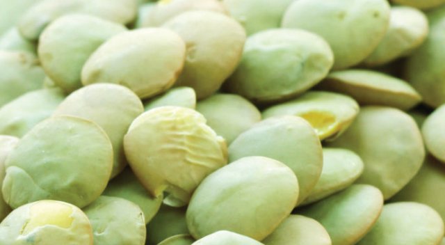 Sağlıklı saçlar için haftada bir mercimek yiyin Sağlıklı saçlar için haftada bir mercimek yiyin