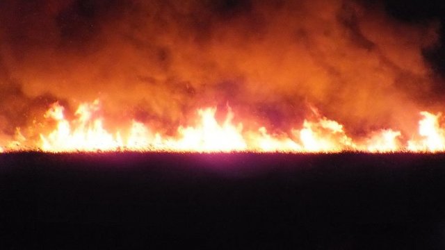 Şili'de kontrol altına alınamayan orman yangınında ölü sayısı 11'e çıktı Şili'de kontrol altına alınamayan orman yangınında ölü sayısı 11'e çıktı