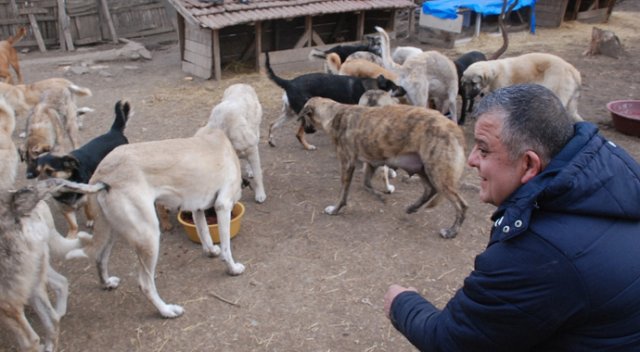 100’e yakın köpeğe bakan Eker'e hayvanseverlerden destek 100’e yakın köpeğe bakan Eker'e hayvanseverlerden destek