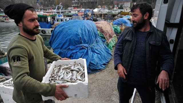 'Karadeniz'de balık kalmadı'