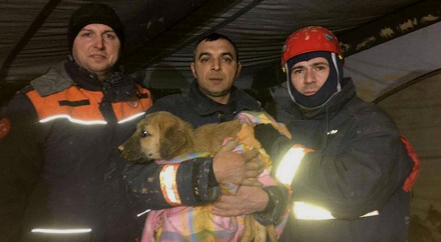 Beykoz&#039;da kuyuya düşen köpek kurtarıldı