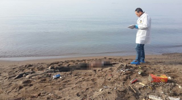 Gebze'de sahile vurmuş ceset bulundu Gebze'de sahile vurmuş ceset bulundu