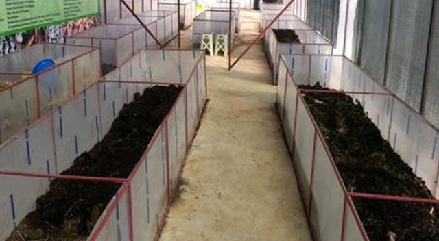 İnternetten gördüğü haberden etkilenerek, solucan gübresi üretim tesisi kurdu İnternetten gördüğü haberden etkilenerek, solucan gübresi üretim tesisi kurdu