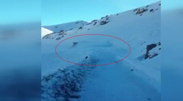 Kar temizlemesi yapan iş makinesi çığ altında kaldı