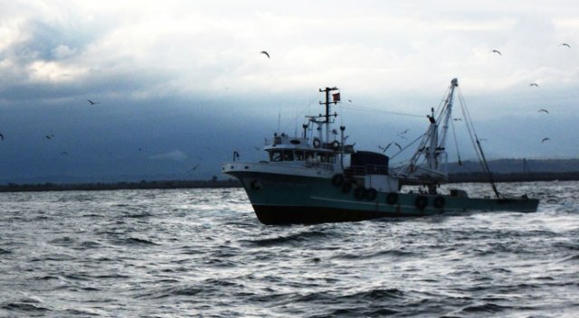Muğla'da balıkçı teknesi battı