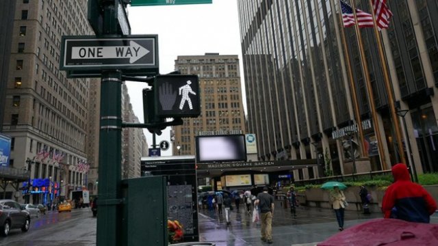 New York'ta fareden bulaşan hastalık endişeye yol açtı