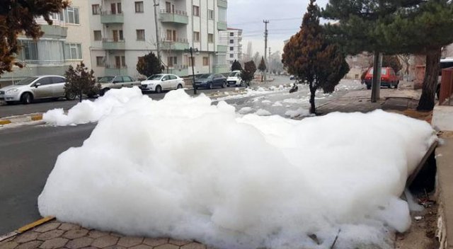 Niğde'de esrarengiz köpüğün sırrı çözüldü Niğde'de esrarengiz köpüğün sırrı çözüldü