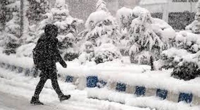 Ordu'nun 5 ilçesinde okullara kar tatili