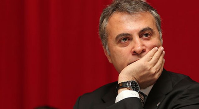 Orman: Özür diliyoruz Orman: Özür diliyoruz