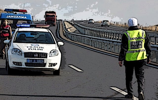 Şüphe üzerine durdurulan araçta bonzai çıktı