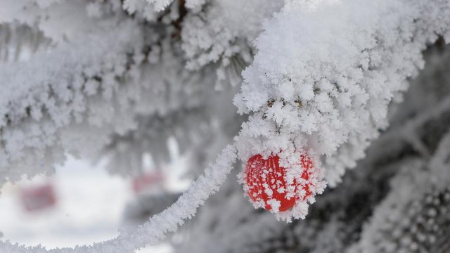 Tayvan’da soğuk hava 154 kişinin ölümüne yol açtı