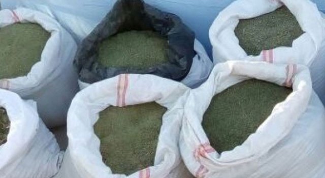 Terör örgütünün finansal kaynağına operasyon