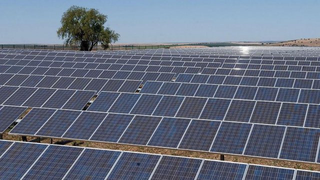 Yenilenebilir enerjiye ocakta 1,1 milyar lira destek ödendi Yenilenebilir enerjiye ocakta 1,1 milyar lira destek ödendi