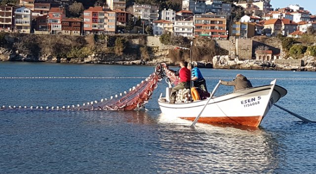 Yunustan'dan kaçan kefaller, Amasralı balıkçıları sevindirdi Yunustan'dan kaçan kefaller, Amasralı balıkçıları sevindirdi