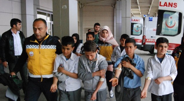 26 öğrenci doğum günü pastasından zehirlendi