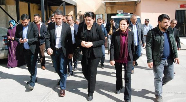 Öcalan şokta! Hayatını kaybetti Öcalan şokta! Hayatını kaybetti