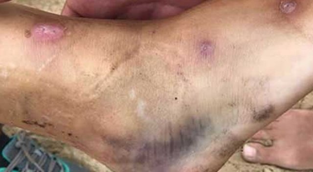 Acun, Sema'nın fotoğrafını paylaştı Acun, Sema'nın fotoğrafını paylaştı