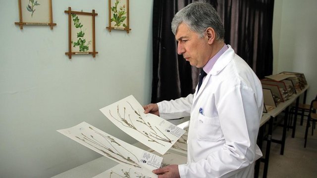 Askeri bölgede bulduğu bitkiye 'Mehmetçik' adını verdi Askeri bölgede bulduğu bitkiye 'Mehmetçik' adını verdi