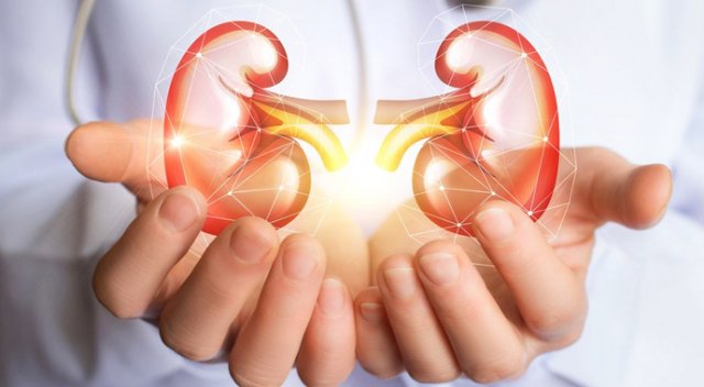 Böbrek kanserinin sorumlu üçlüsü: Sigara, hipertansiyon ve obezite