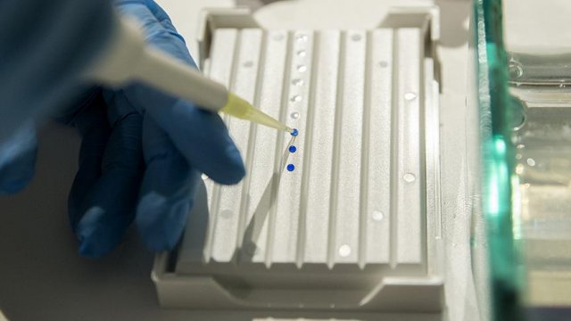 DNA onarımının kritik bileşeni bulundu DNA onarımının kritik bileşeni bulundu