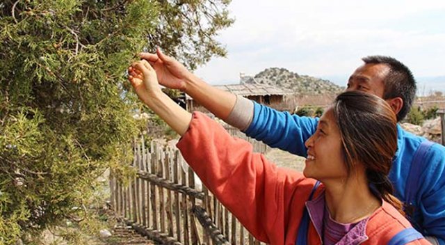 Güney Koreli çift, lüks hayattan sıkılıp Lisinia'ya geldi Güney Koreli çift, lüks hayattan sıkılıp Lisinia'ya geldi