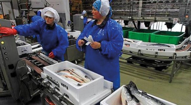 Her bir çalışanına 22 bin Euro ikramiye dağıtacak Her bir çalışanına 22 bin Euro ikramiye dağıtacak