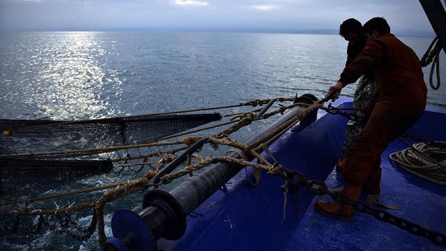 Karadeniz'de hamsi sezonu kapandı Karadeniz'de hamsi sezonu kapandı