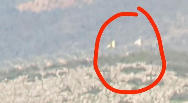 Şehidimizin kimliği ve memleketi belli oldu Şehidimizin kimliği ve memleketi belli oldu