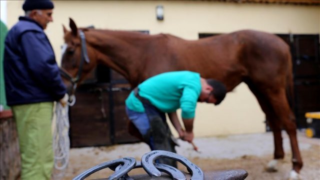 'Güzel atlar ülkesi'nin nalbantı 'Güzel atlar ülkesi'nin nalbantı