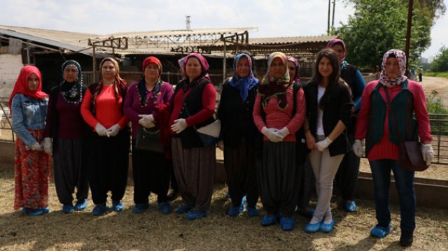 45 kadına uygulamalı çobanlık eğitimi 45 kadına uygulamalı çobanlık eğitimi