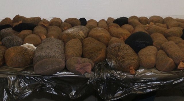 Çorapların içinden 26 bin sülük çıktı