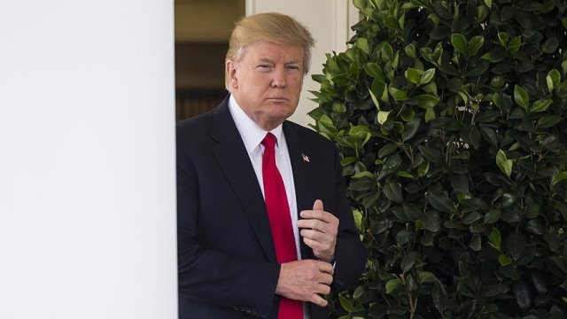 Cumhuriyetçiler Suriye’de adım atması için Trump’a baskı yapıyor Cumhuriyetçiler Suriye’de adım atması için Trump’a baskı yapıyor