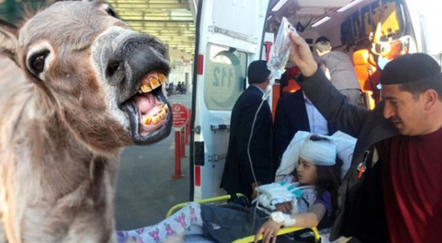 Eşek tarafından ısırılan 3 çocuk hastaneye kaldırıldı Eşek tarafından ısırılan 3 çocuk hastaneye kaldırıldı