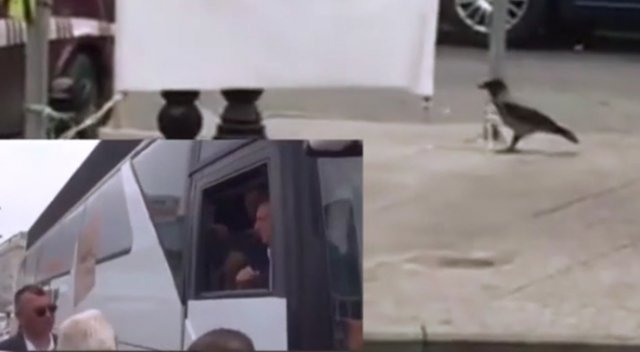Karga, CHP'nin 'hayır' pankartını kesti Karga, CHP'nin 'hayır' pankartını kesti