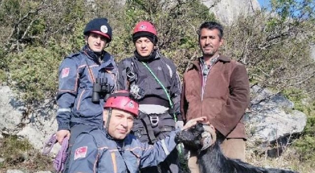 Kayalıkta mahsur kalan keçiyi AFAD kurtardı Kayalıkta mahsur kalan keçiyi AFAD kurtardı