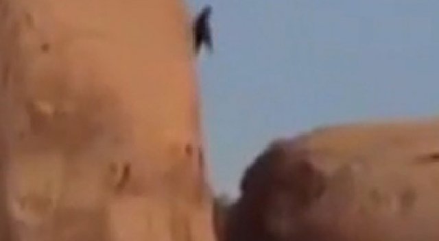 Keçiler atlama yatağı ile böyle kurtarıldı Keçiler atlama yatağı ile böyle kurtarıldı