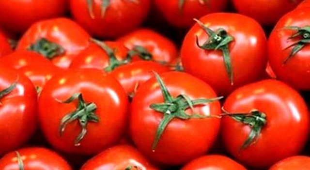 Rusya'dan domates açıklaması Rusya'dan domates açıklaması