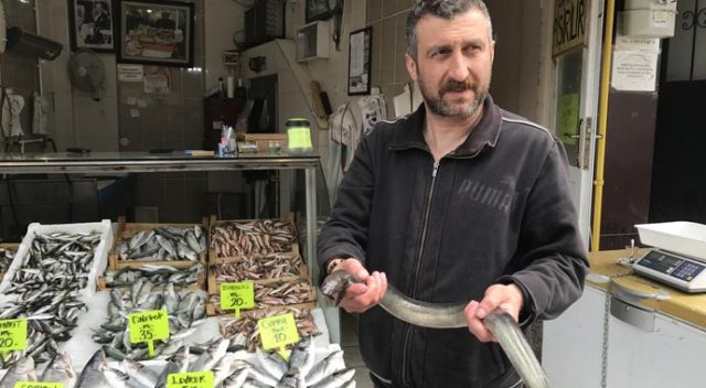 1 metre uzunluğunda yılan balığı yakaladılar 1 metre uzunluğunda yılan balığı yakaladılar