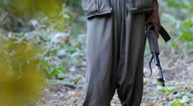 Şırnak’ta 3 PKK’lı teslim oldu Şırnak’ta 3 PKK’lı teslim oldu