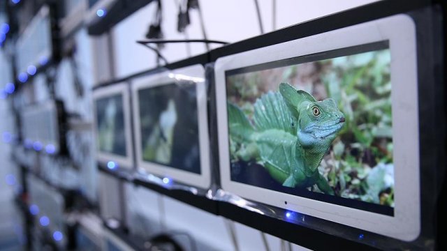 Uçakta elektronik cihaz yasağına &#039;kablosuz eğlence sistemli&#039; çözüm