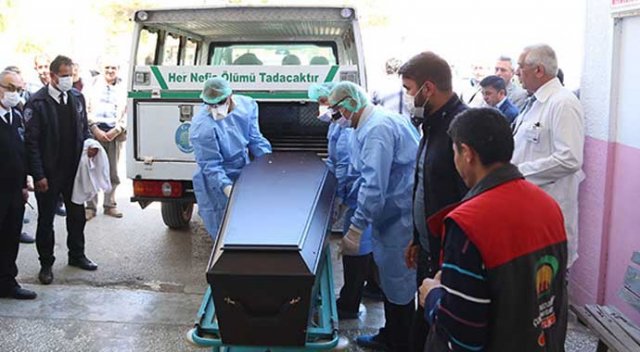 Türkiye'de kene hareketliliği başladı Türkiye'de kene hareketliliği başladı