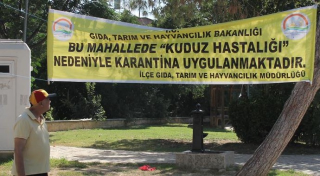 Adana'da kuduz karantinası Adana'da kuduz karantinası