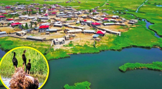 Ağrı Dağı Millî Parkı Ağrı Dağı Millî Parkı
