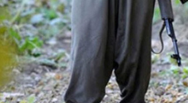 Bitlis’te bir terörist teslim oldu Bitlis’te bir terörist teslim oldu