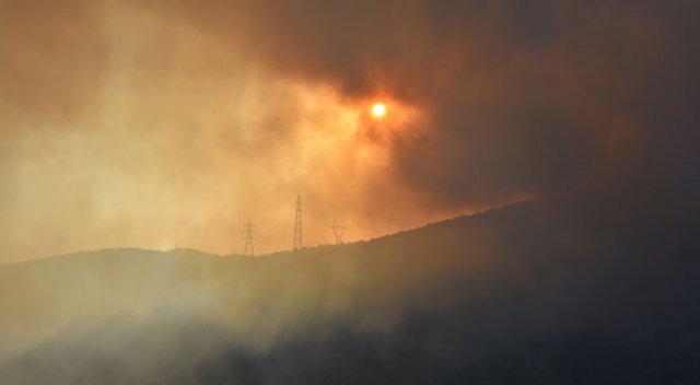 Bodrum'da makilik alanda yangın