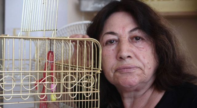 Evladı gördüğü papağanı kayboldu: Getirenin elini ayağını öpeceğim