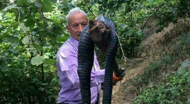 Giresun&#039;da dev yılan öldürüldü